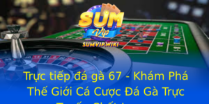 Trực tiếp đá gà 67 - Khám Phá Thế Giới Cá Cược Đá Gà Trực Tuyến Chất Lượng 4 Truc Tiep A Ga 67 Kham Pha The Gioi Ca Cuoc A Ga Truc Tuyen Chat Luong